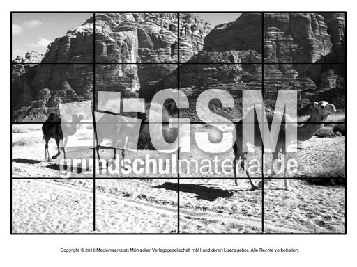 Puzzle-Dromedar-1.pdf